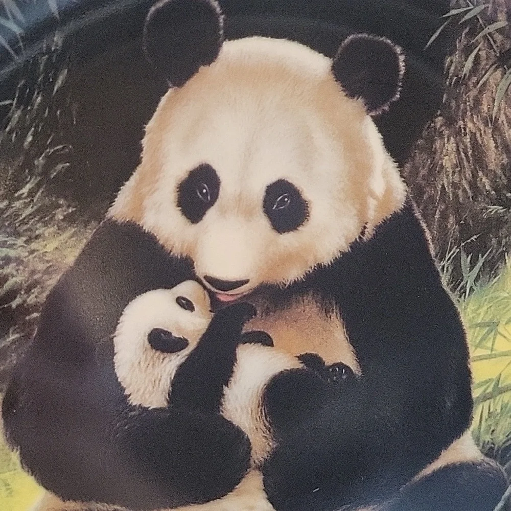 Vintage Momma Panda & Baby Endangered Species Decorative Plate Will Nelson 1988
